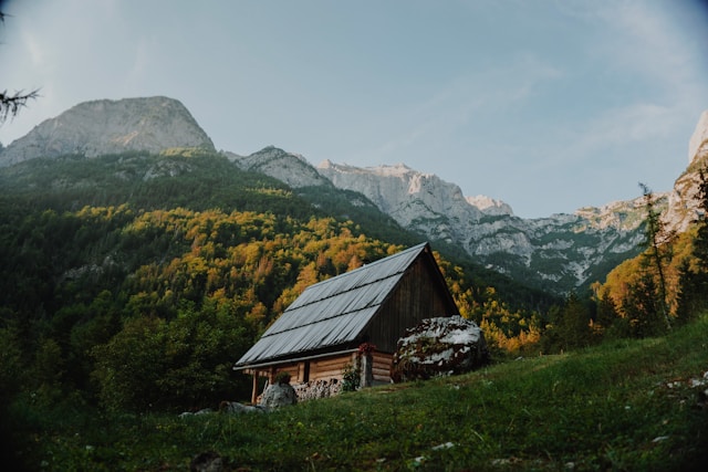 house in the forest