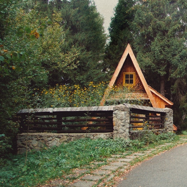 house in the forest