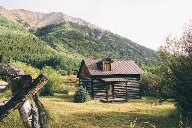 house in the forest