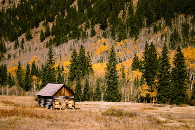 house in the forest