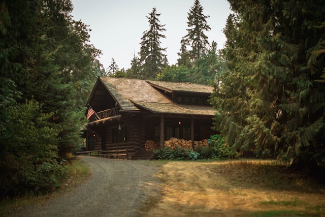 house in the forest